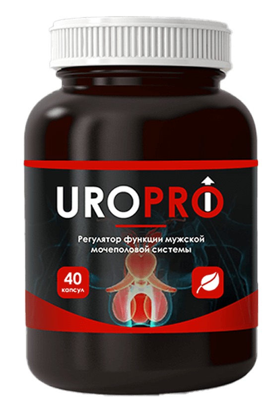 Anatomy visualization